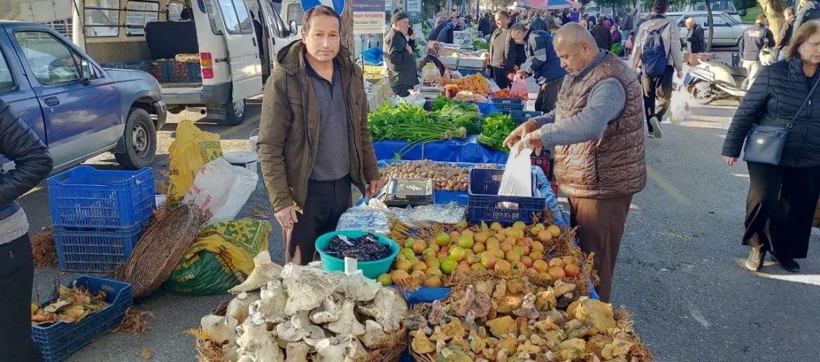 Aydın’da pazarda dev mantarlar ilgi odağı oldu