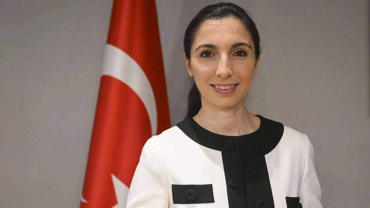 Merkez Bankası Başkanı Hafize Gaye Erkan Kimdir?
