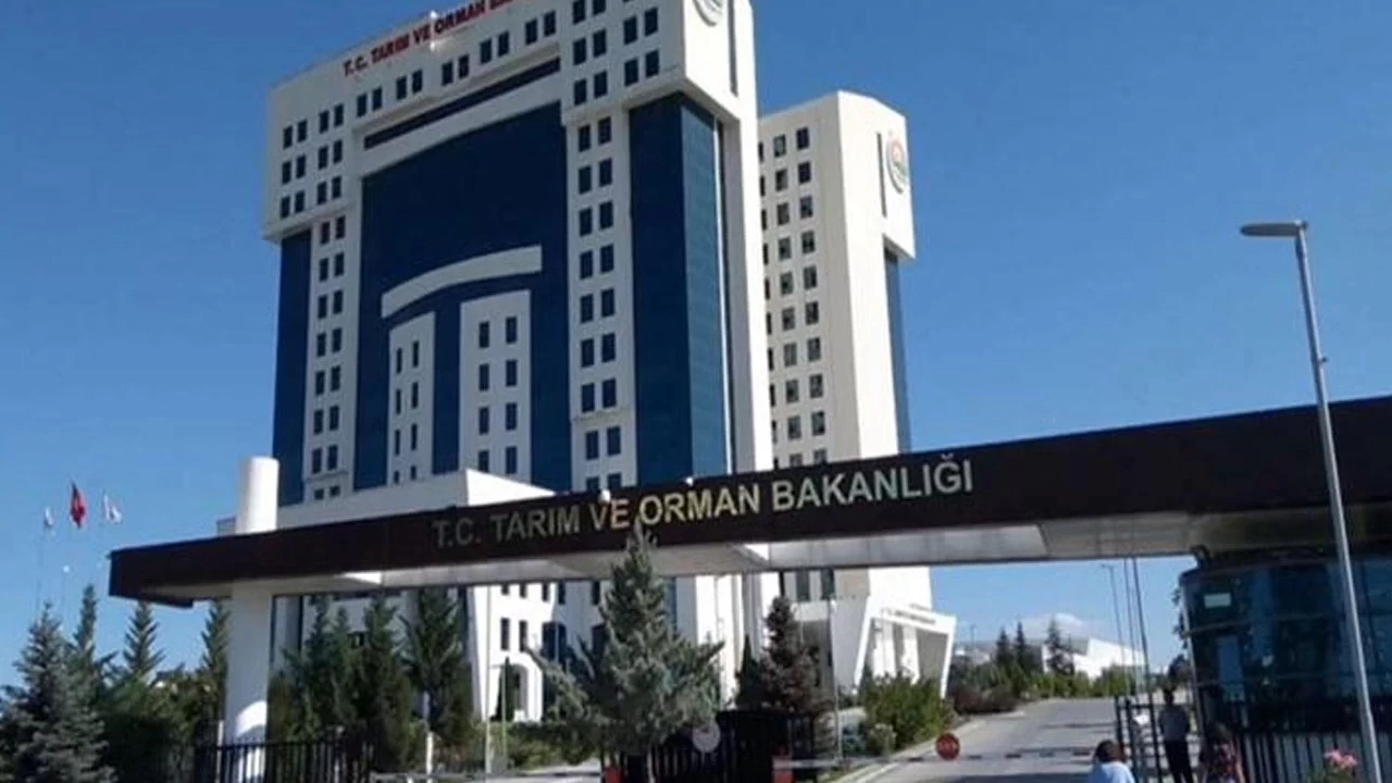 Bakanlık Listeyi Güncelledi! Taklit ve Tağşiş Yapılan Gıdalar Listesi Kabardıkça Kabarıyor