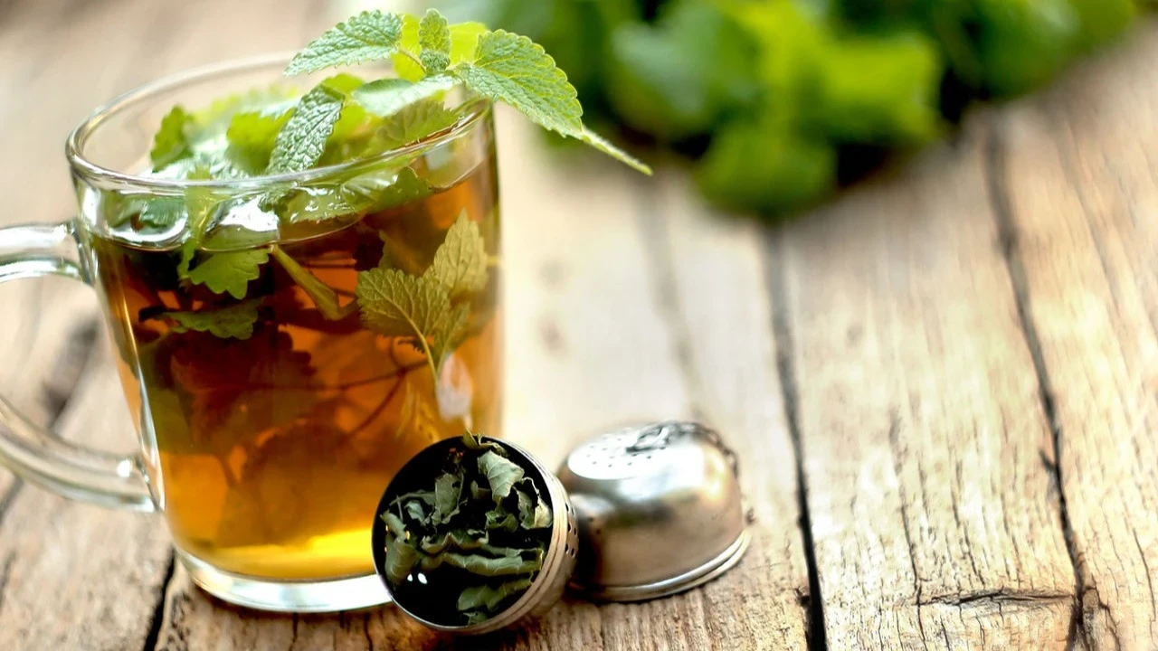 Melisa Çayı Neye İyi Gelir? Faydaları Neler?