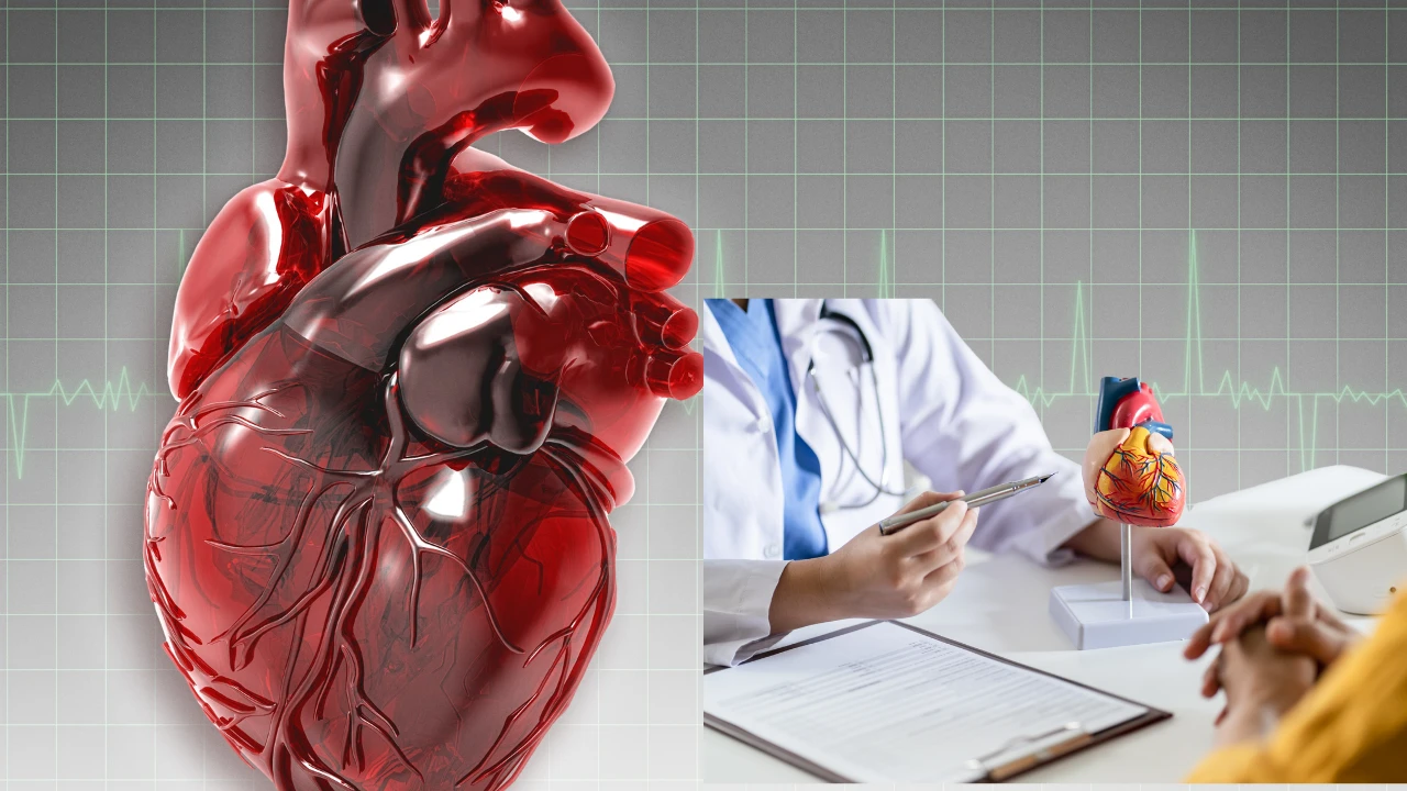 Kalp Damar Röntgeni ve Anjiyografi! Ne Zaman Röntgen Çekilir