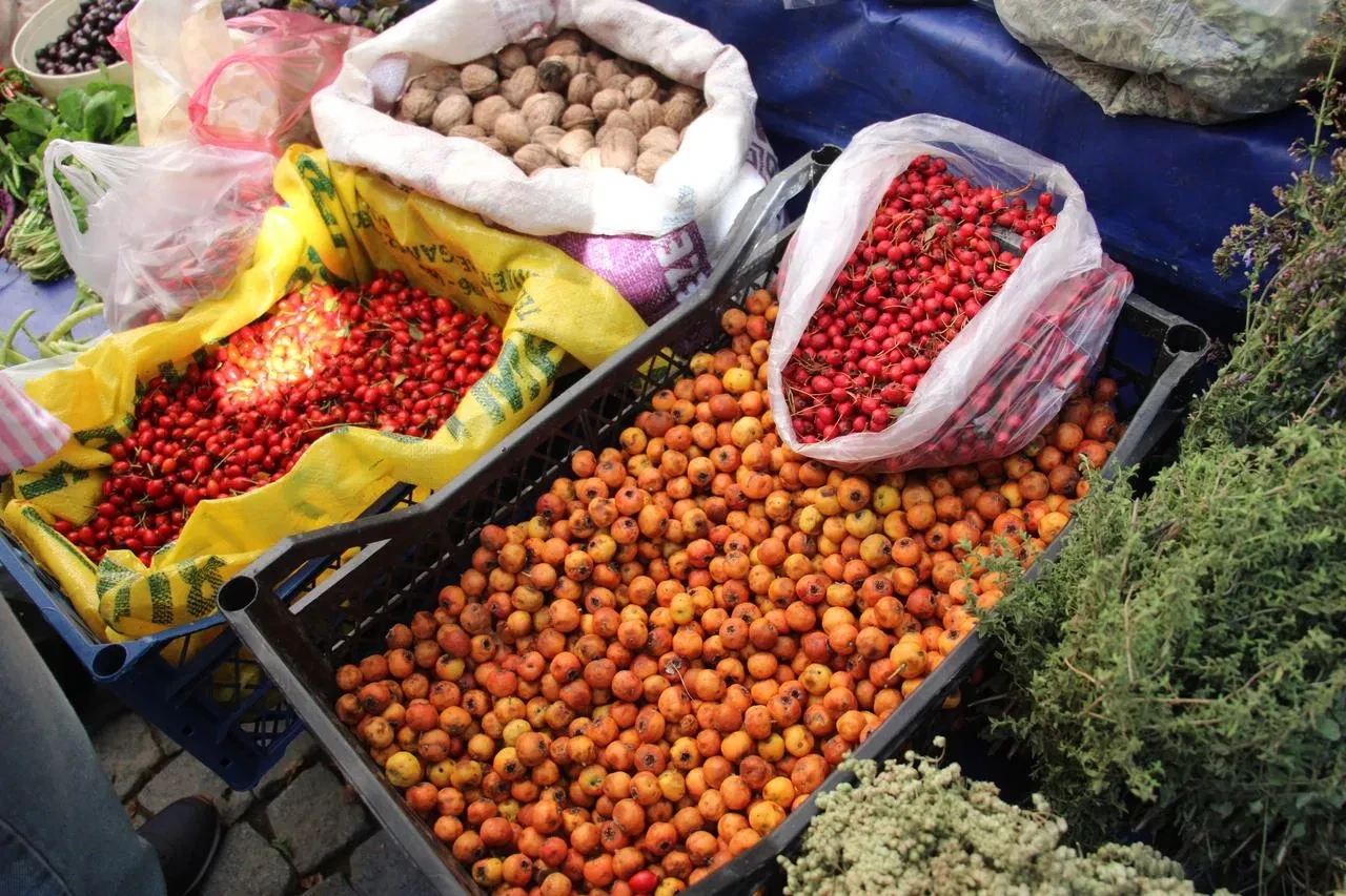 Aydın’da kışın habercisi alıç meyvesi pazarlarda ilgi görüyor