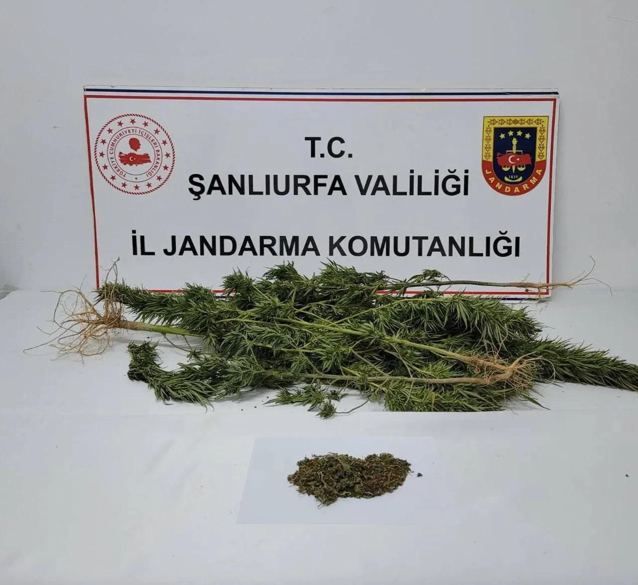 Şanlıurfa'da jandarma operasyonunda 91 uyuşturucu hap ele geçirildi