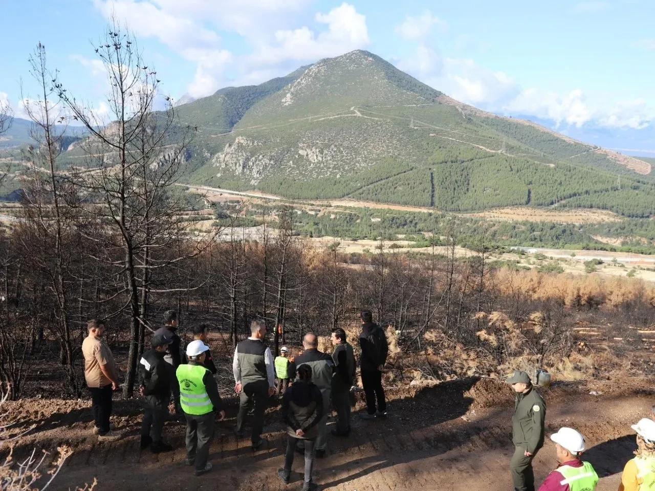 Honaz Dağı Milli Parkı'nda yanan alanlar için ağaçlandırma çalışmaları başladı