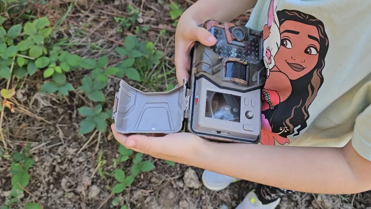 Bensu Demir fotokapanla Artvin’de yaban hayvanlarını görüntülüyor