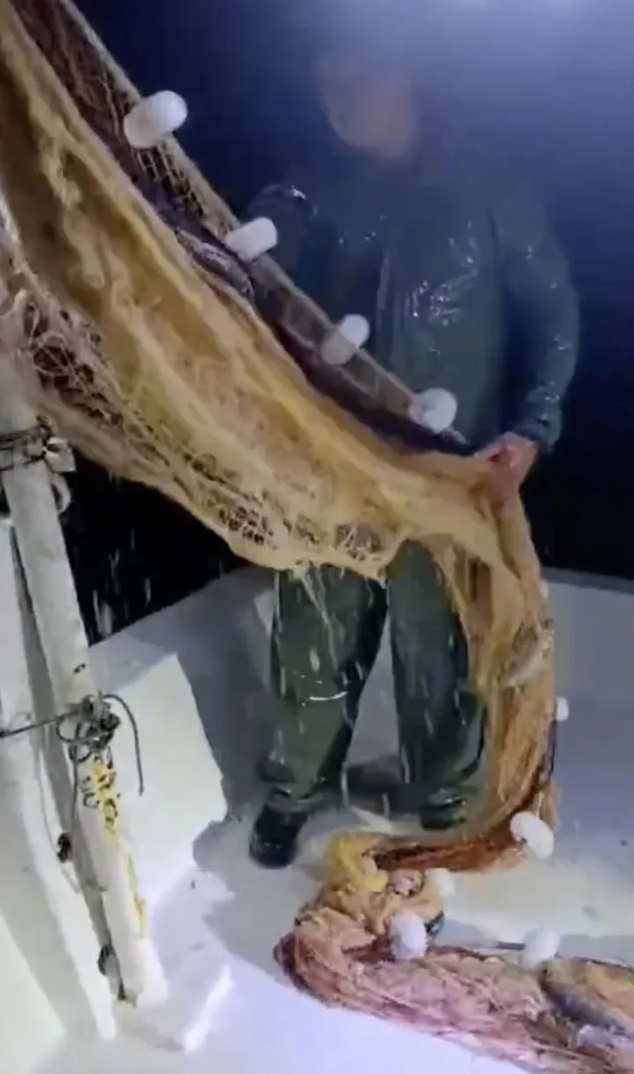 Kırklareli'nin Kıyıköy beldesinde palamut balığı azaldı balıkçılar zor durumda