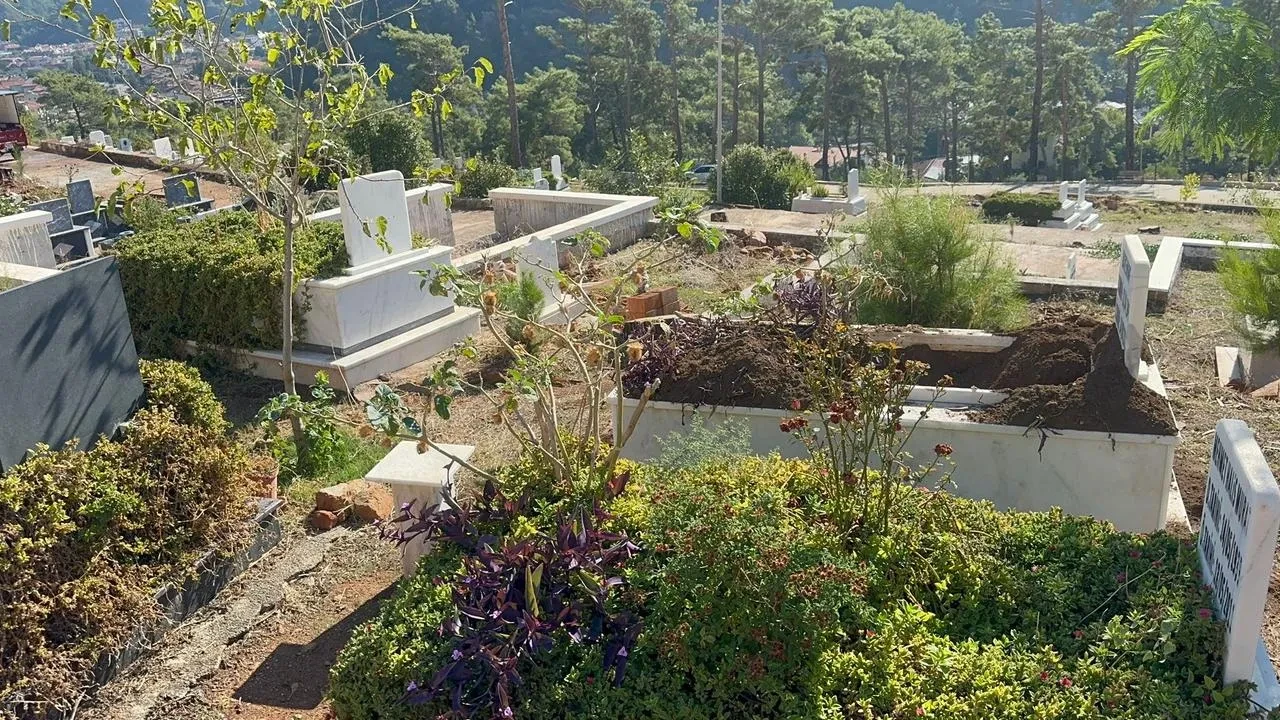 Marmaris’te yaban domuzları mezarlıklara zarar veriyor