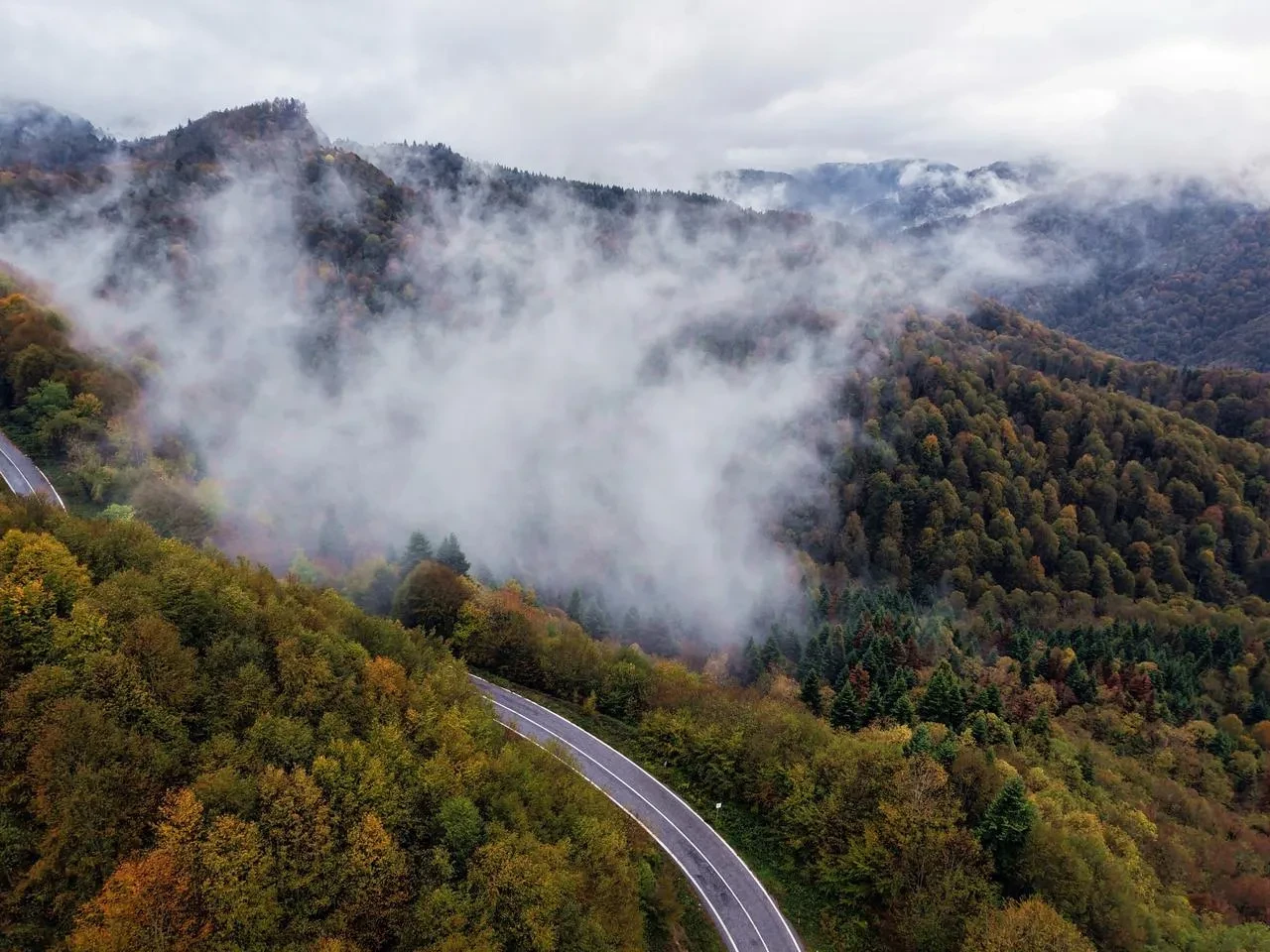 Çam Dağı’nda sonbahar renk cümbüşü ile sis buluştu