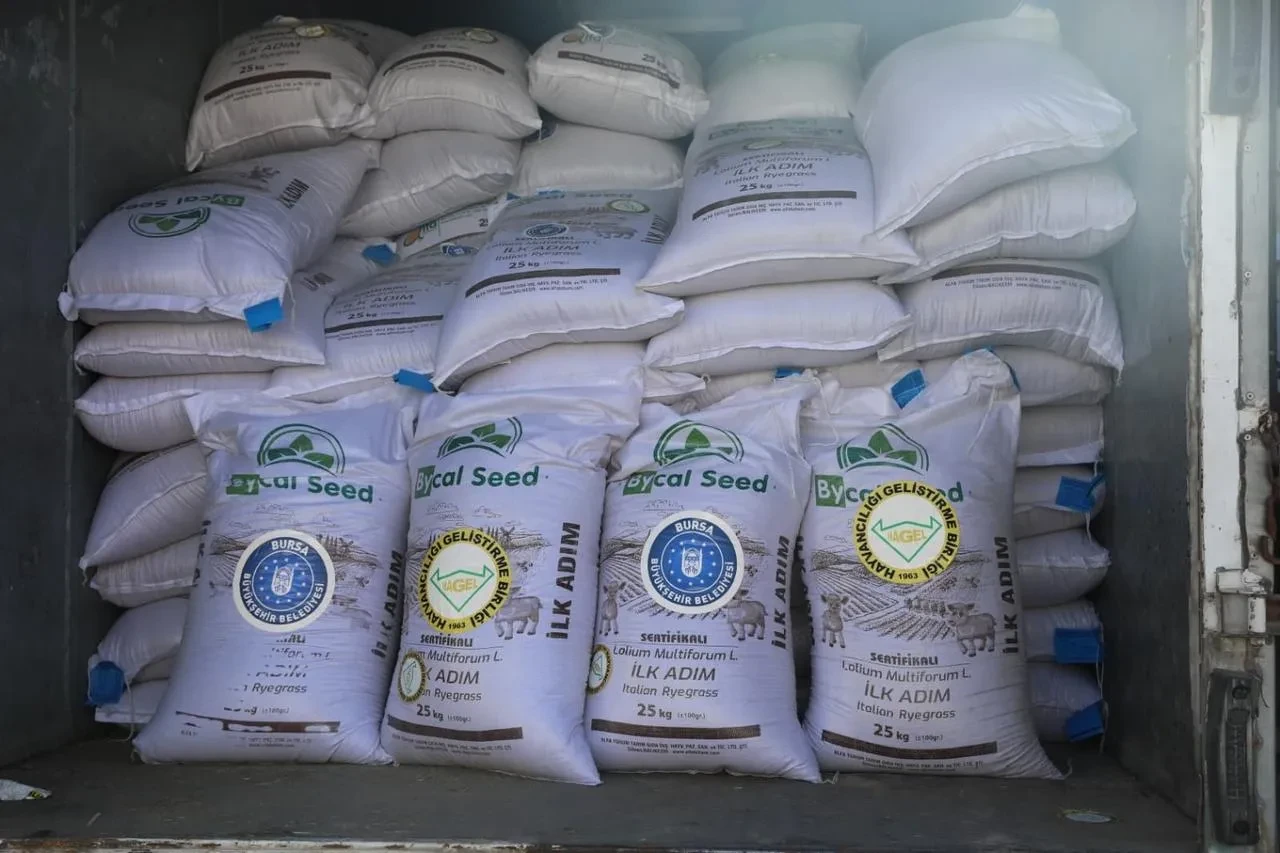 Bursa Büyükşehir Belediyesi çiftçilere İtalyan çimi dağıttı