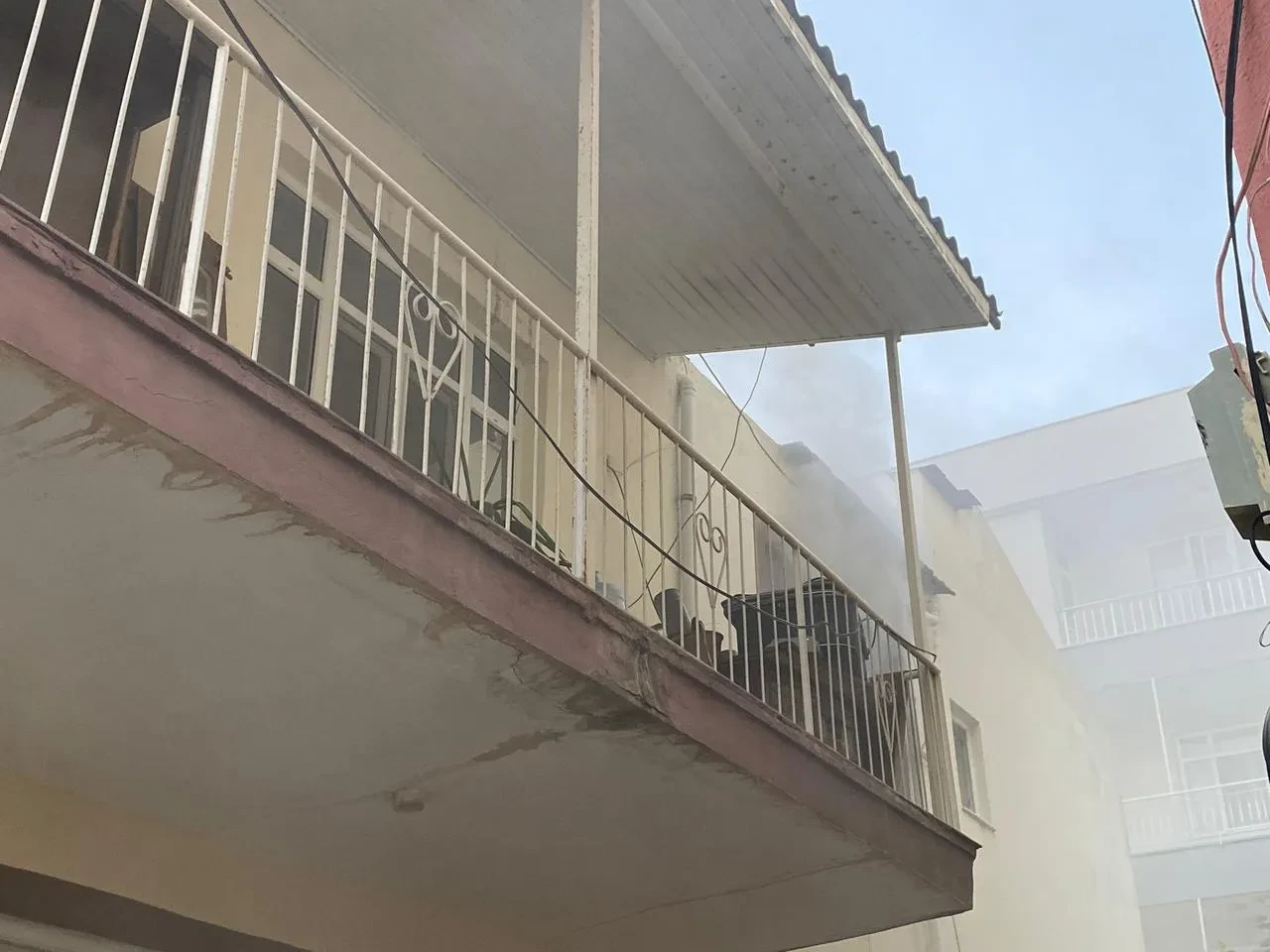 Antalya’daki yangında itfaiye ekipleri muhabbet kuşunu kurtardı