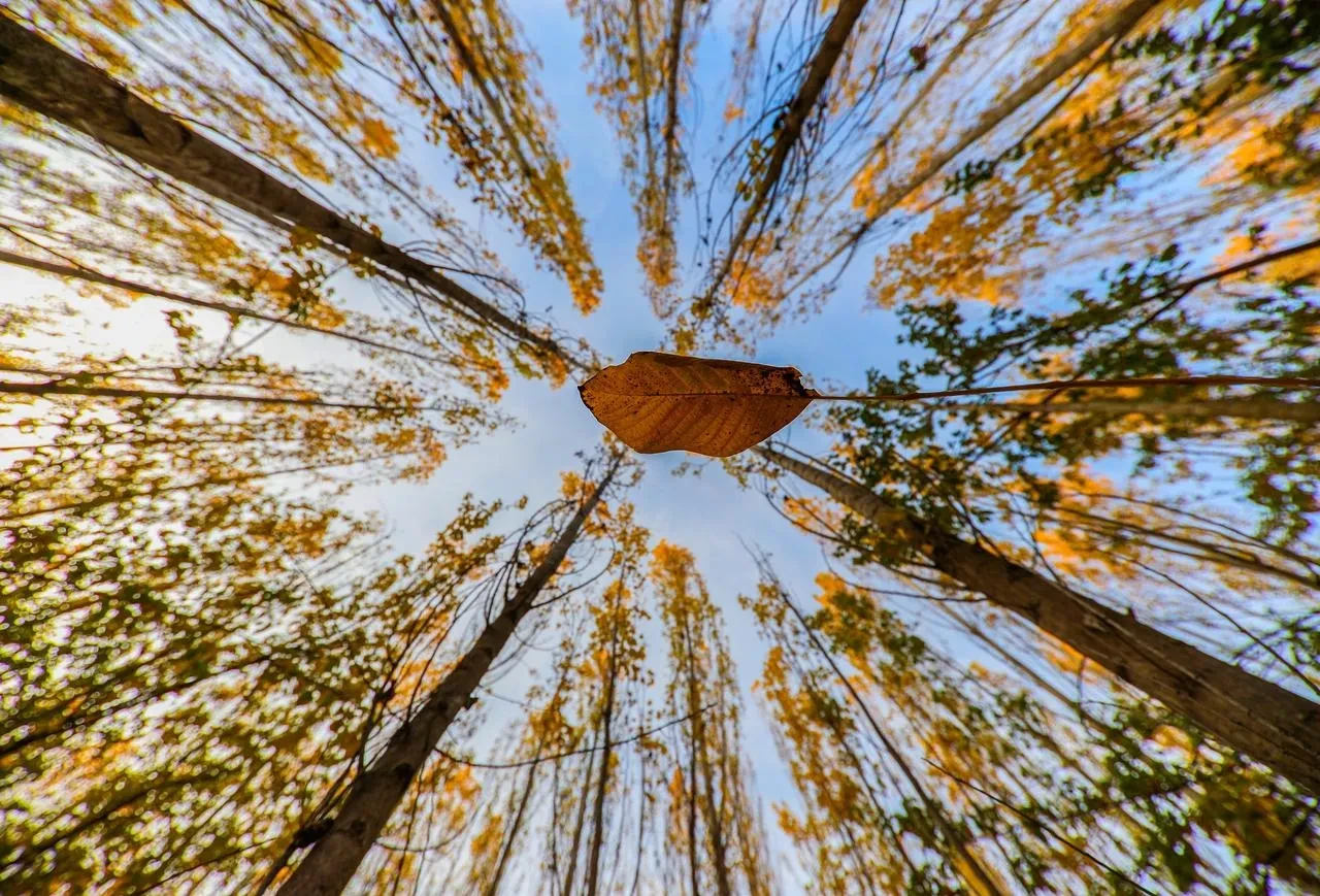 Erzincan’ın Munzur Dağları sonbahar renkleriyle büyülüyor