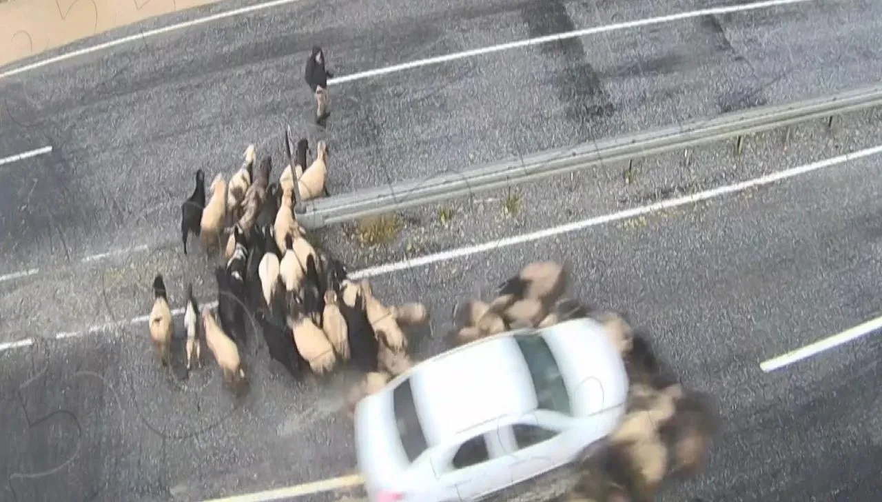 Bitlis'in Tatvan ilçesinde trafik kazaları Kent Güvenlik Yönetim Sistemi kameralarına yansıdı