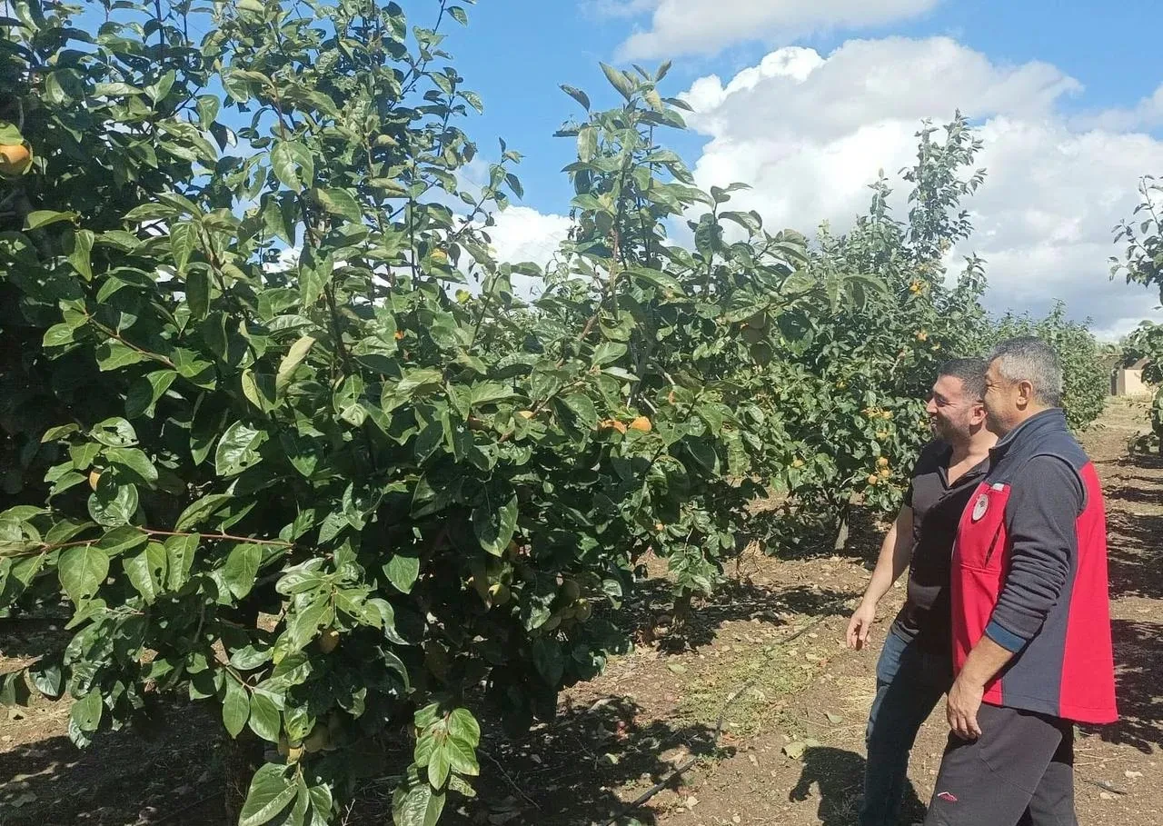 Çanakkale’de dolu yağışı sonrası tarım alanlarında hasar tespiti başladı