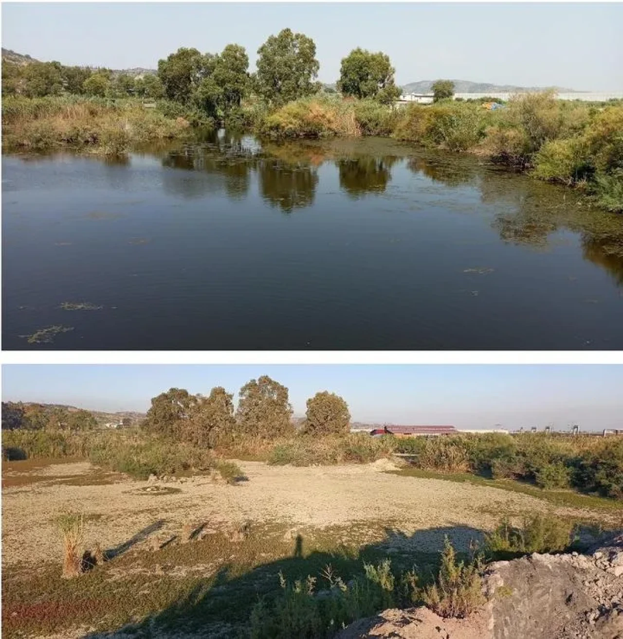 Aydın’ın Söke ilçesinde sulak alanlara moloz tehdidi