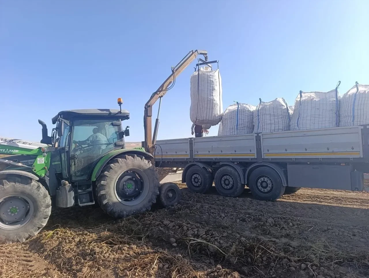 Patnos'ta patates hasadı başladı çiftçiler verimden memnun