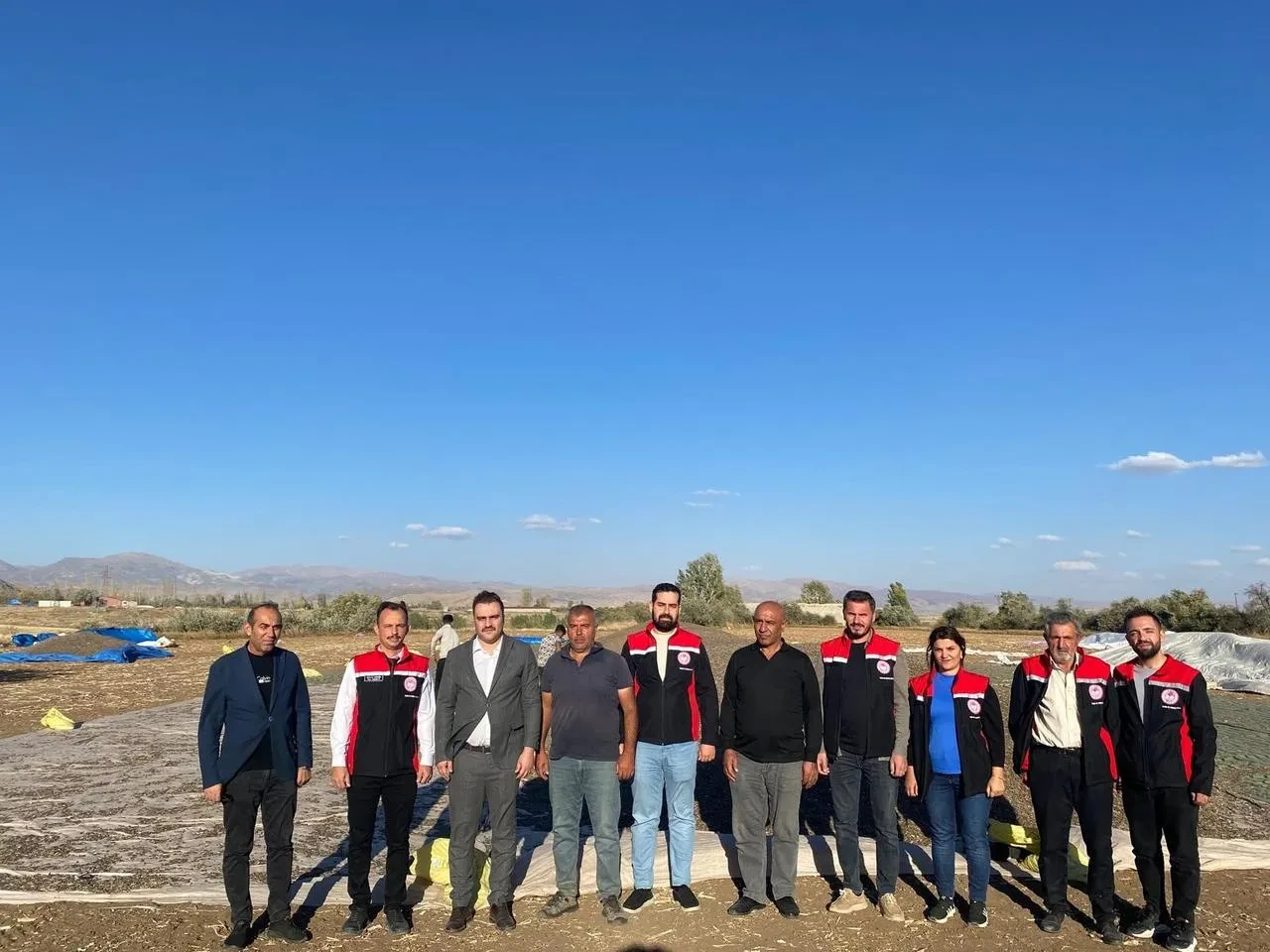 Çayırlı’da çerezlik ayçiçeği hasadı başladı, Kaymakam Battal destekledi