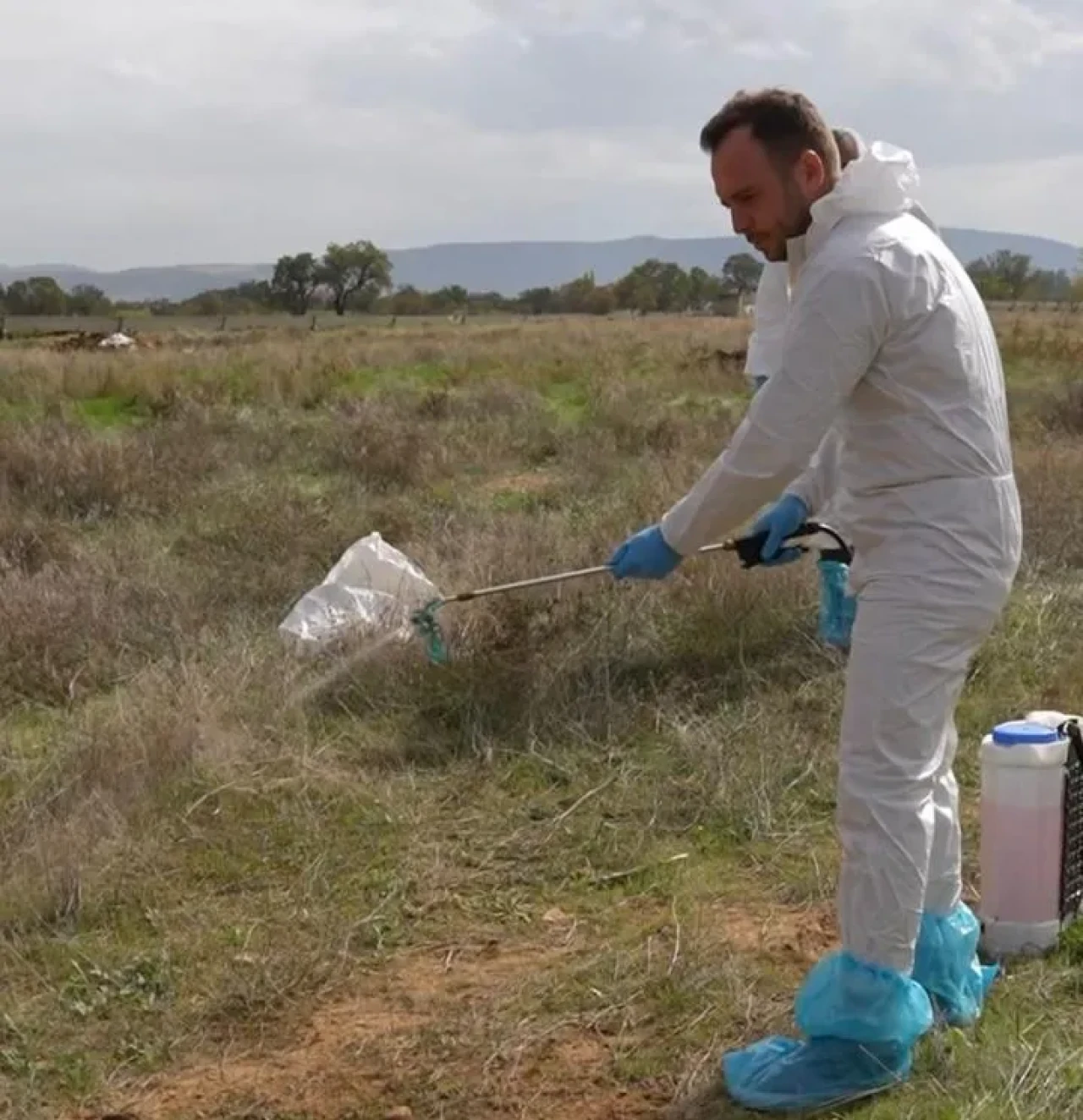 Çivril Belediyesi şap hastalığına karşı mücadeleye devam ediyor