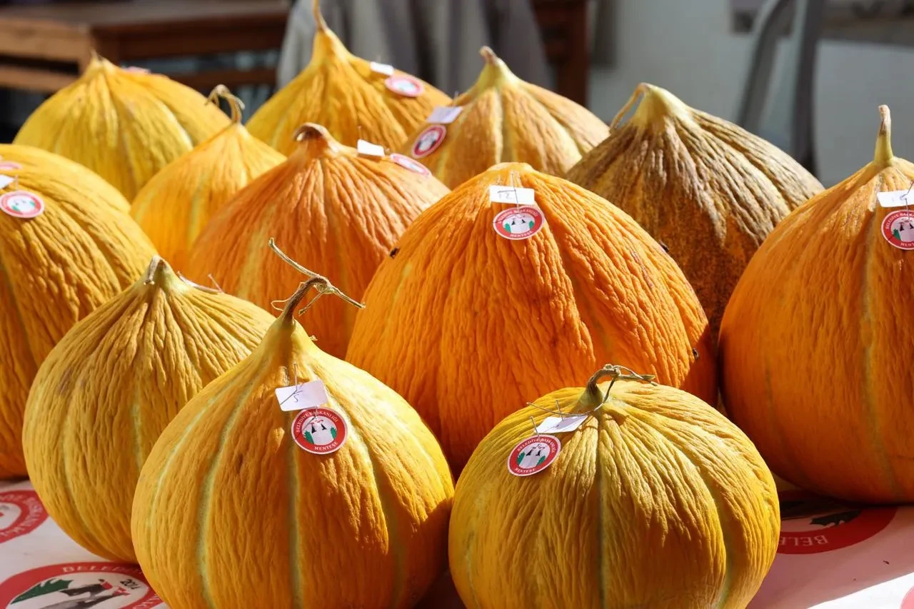 Muğla'da Karabağlar Yaylası Kavun Yarışması düzenlendi