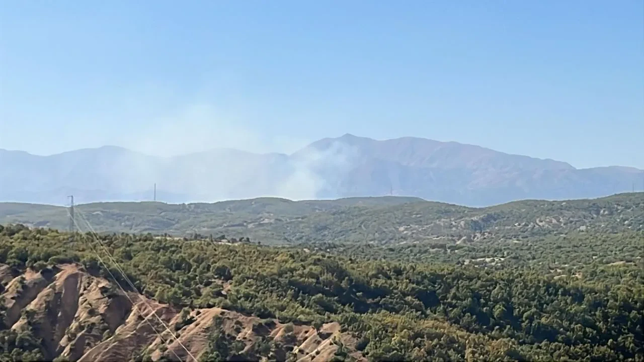 Bingöl’ün Genç ilçesinde çıkan orman yangını kontrol altına alındı