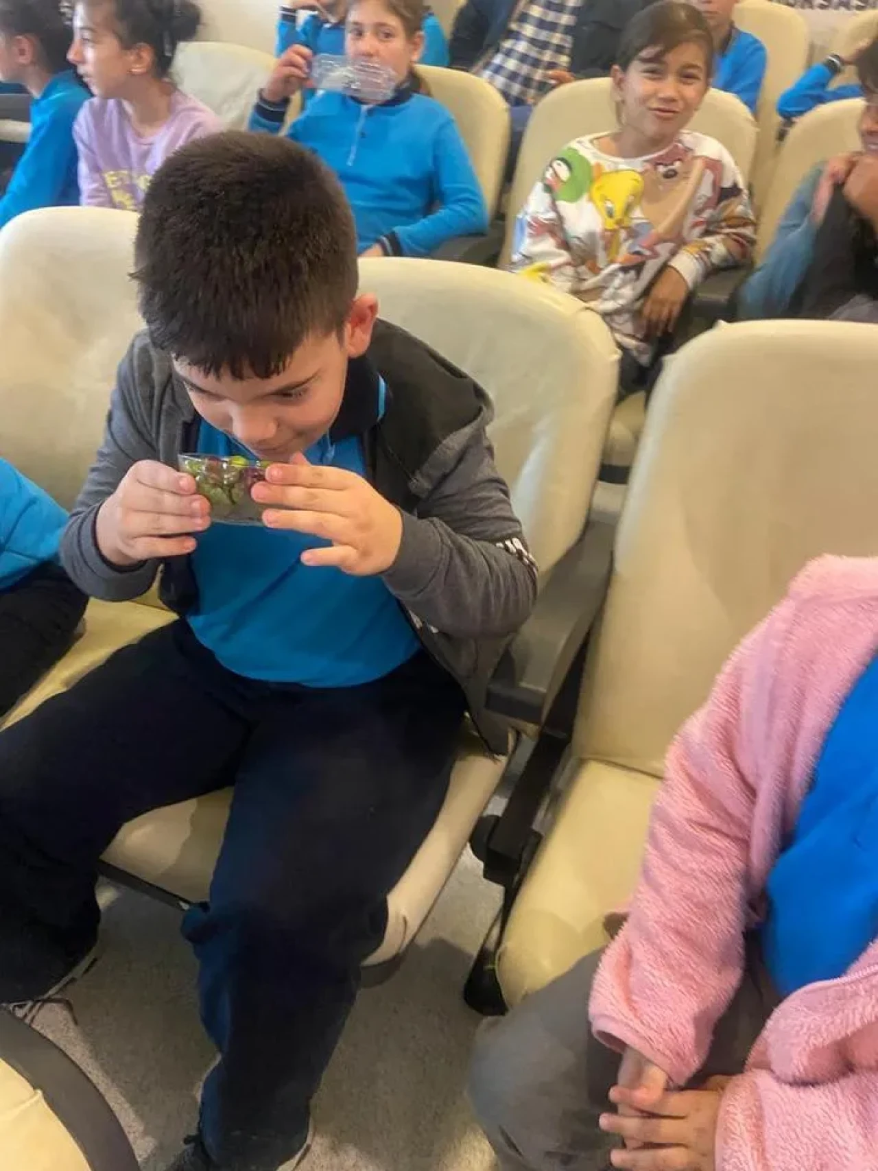 Muğla'da ilkokul öğrencilerine zeytinyağı eğitimi veriliyor