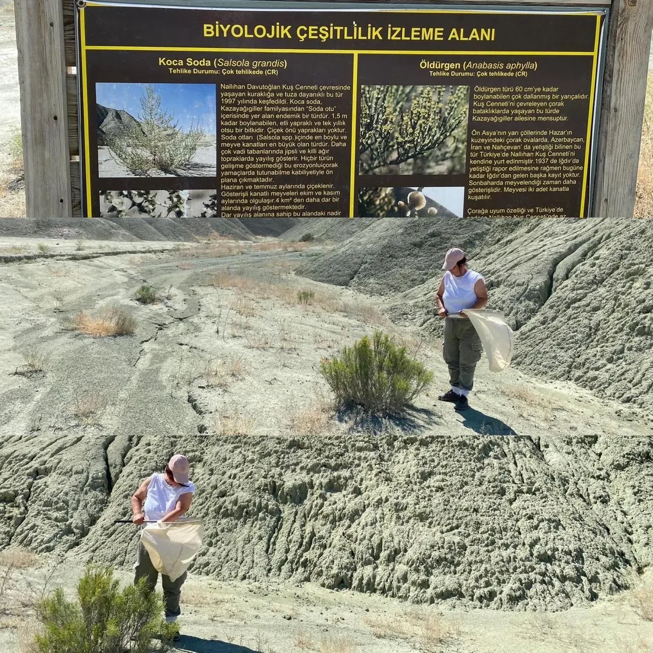 Atatürk Üniversitesi TÜBİTAK’tan 37 milyon TL destek aldı