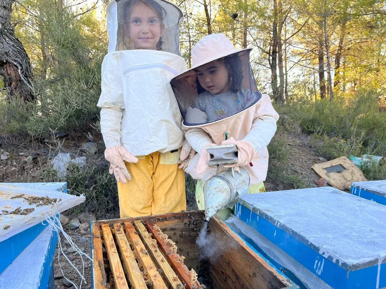 Muğla'nın Yatağan ilçesinde minikler babalarına arıcılıkta yardım ediyor