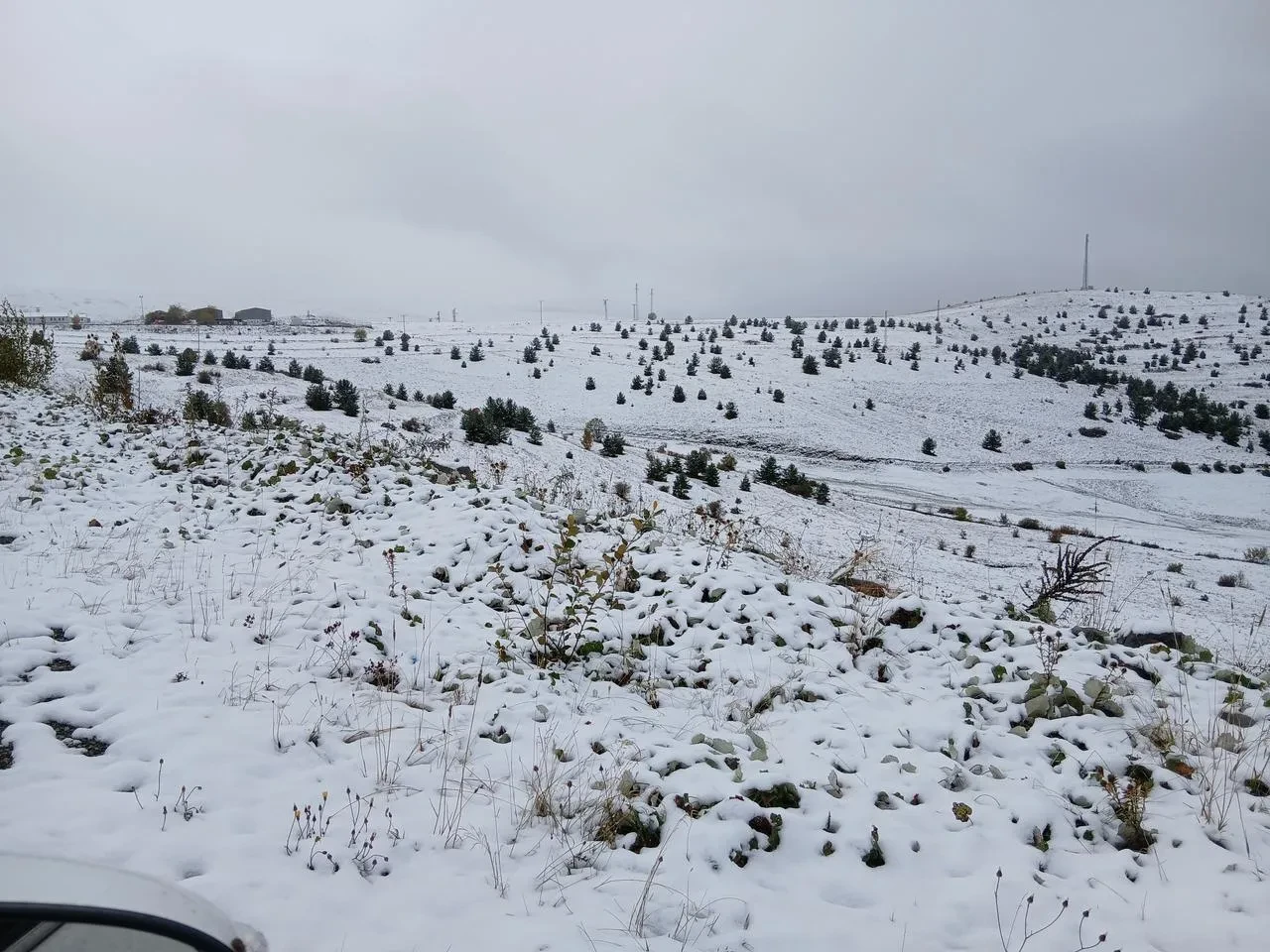 Posof'ta etkili kar yağışı ilçeyi beyaza bürüdü