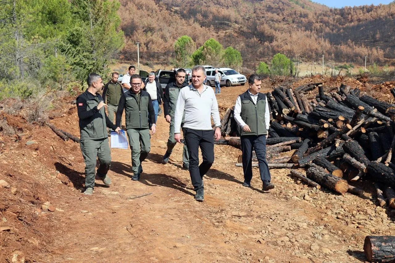 Köyceğiz'de yanan sahalar fidan dikimi için hazırlanıyor
