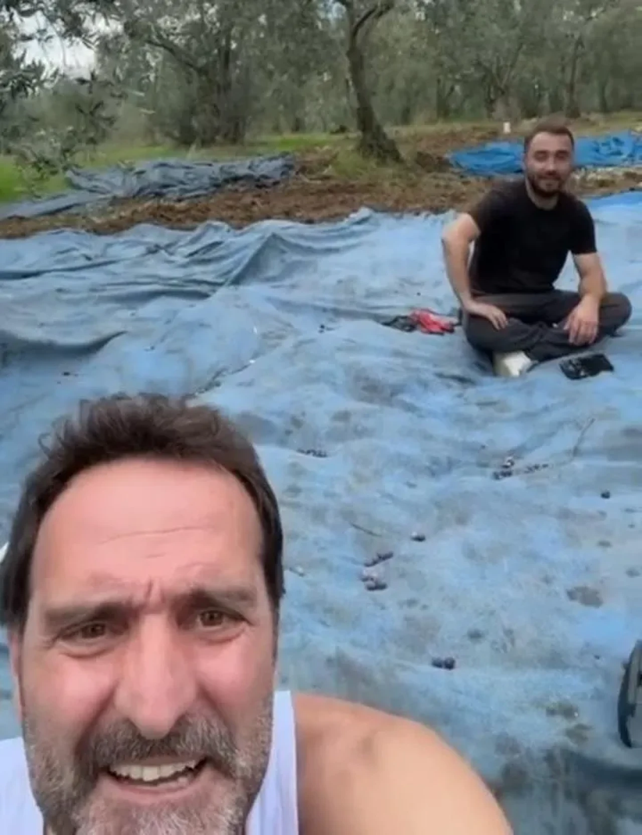 Timur Acar İznik'teki zeytinliğinde ilk hasadını yaptı