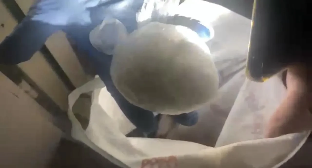 Samsun'da 183,8 gram metamfetamin ele geçirildi. Şahsa ait evde bulundu.