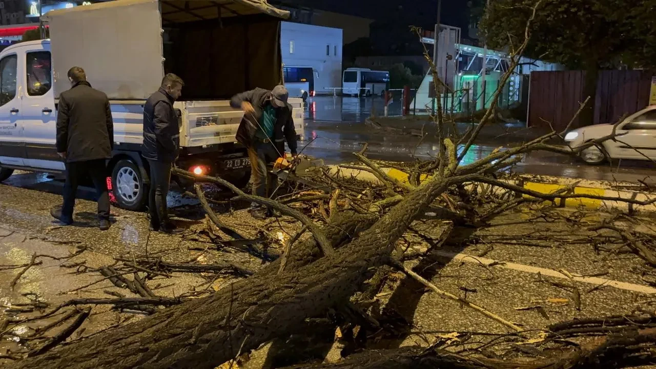 Edirne'de sağanak yağış nedeniyle devrilen ağaç Atatürk Bulvarı'nı kapattı
