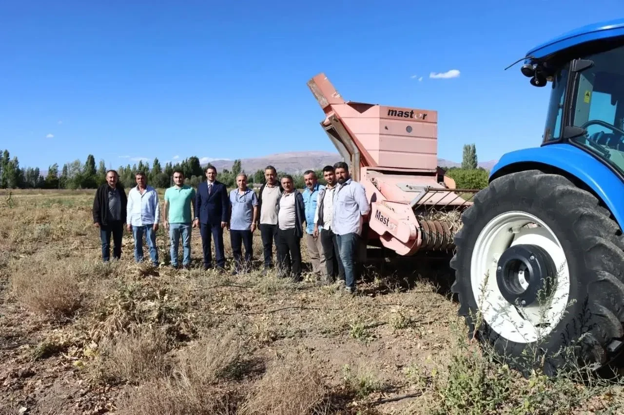 Erzincan’da Bahçe Kültürleri Araştırma Enstitüsü’nde kuru fasulye hasadı başladı