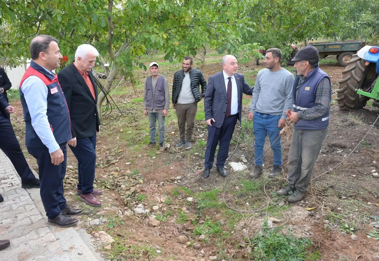 Denizli'de sezonun ilk ceviz hasadı Vali Coşkun'un katılımıyla Tavas'ta başladı