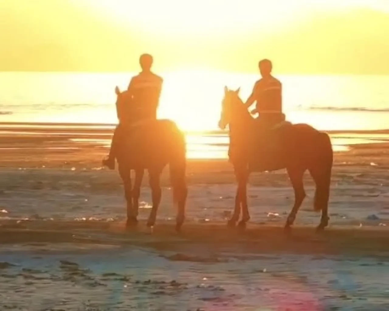 Van İl Jandarma Komutanlığı Van Gölü çevresinde devriye faaliyeti yürütüyor
