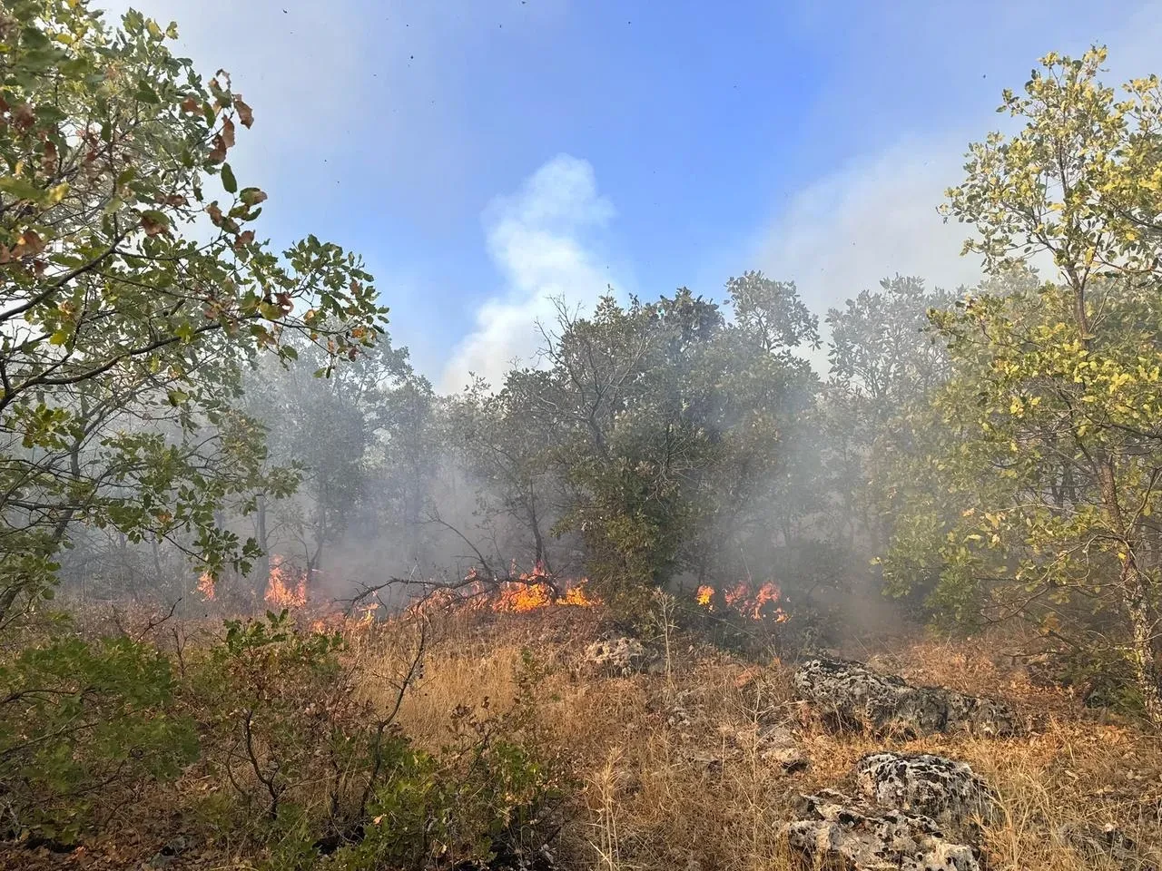 Diyarbakır’ın Dicle ilçesinde çıkan yangın helikopterle söndürüldü