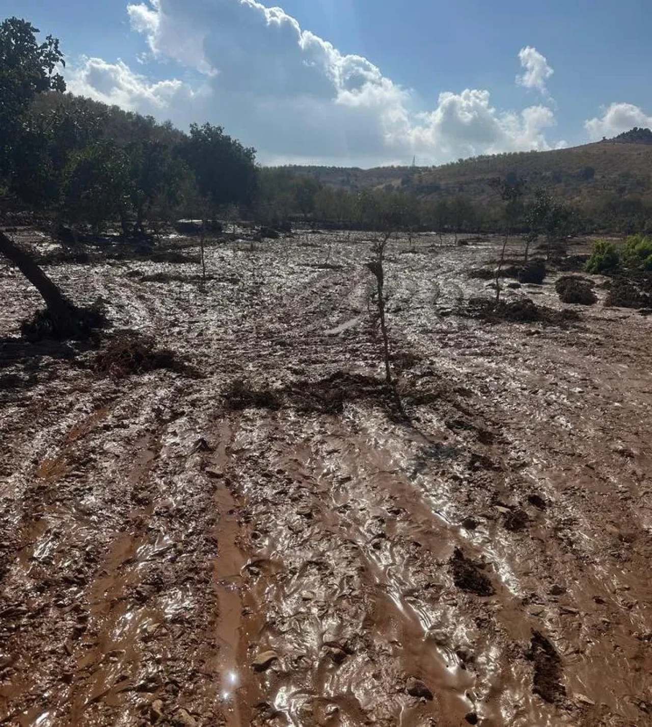 Adıyaman'ın Besni ilçesinde şiddetli yağışlar tarım arazilerini sular altında bıraktı