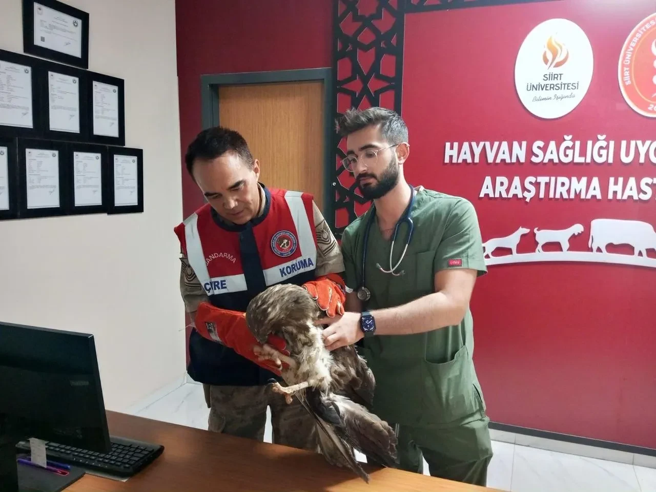 Siirt İl Jandarma Komutanlığı HAYDİ timi doğal yaşamı korumak için çalışıyor