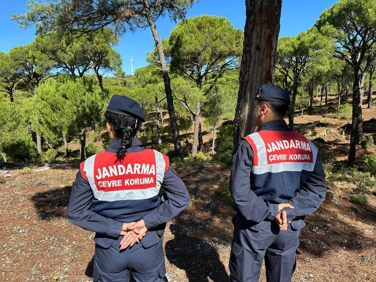 Jandarma Aydın’da Sultan Çiğdemi için saha kontrolleri yaptı