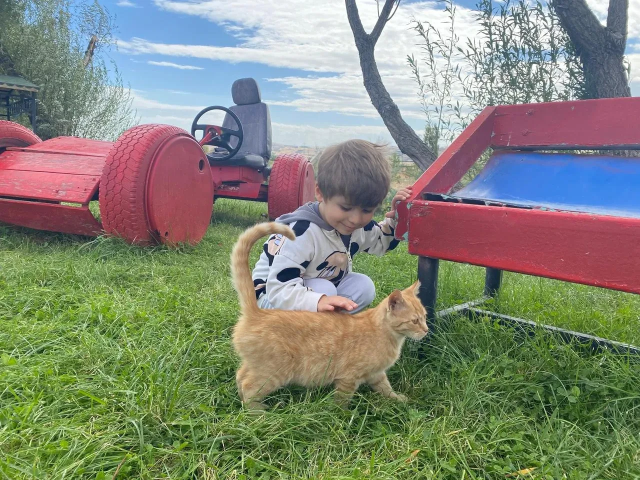 TvHB Genel Başkanı Ali Eroğlu hayvanlara yapılan zararı kınadı