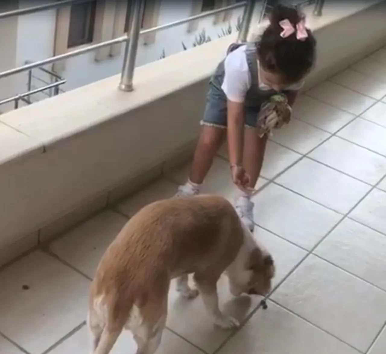 Minik Gökçe Datça'da sokak köpeğini elleriyle besledi