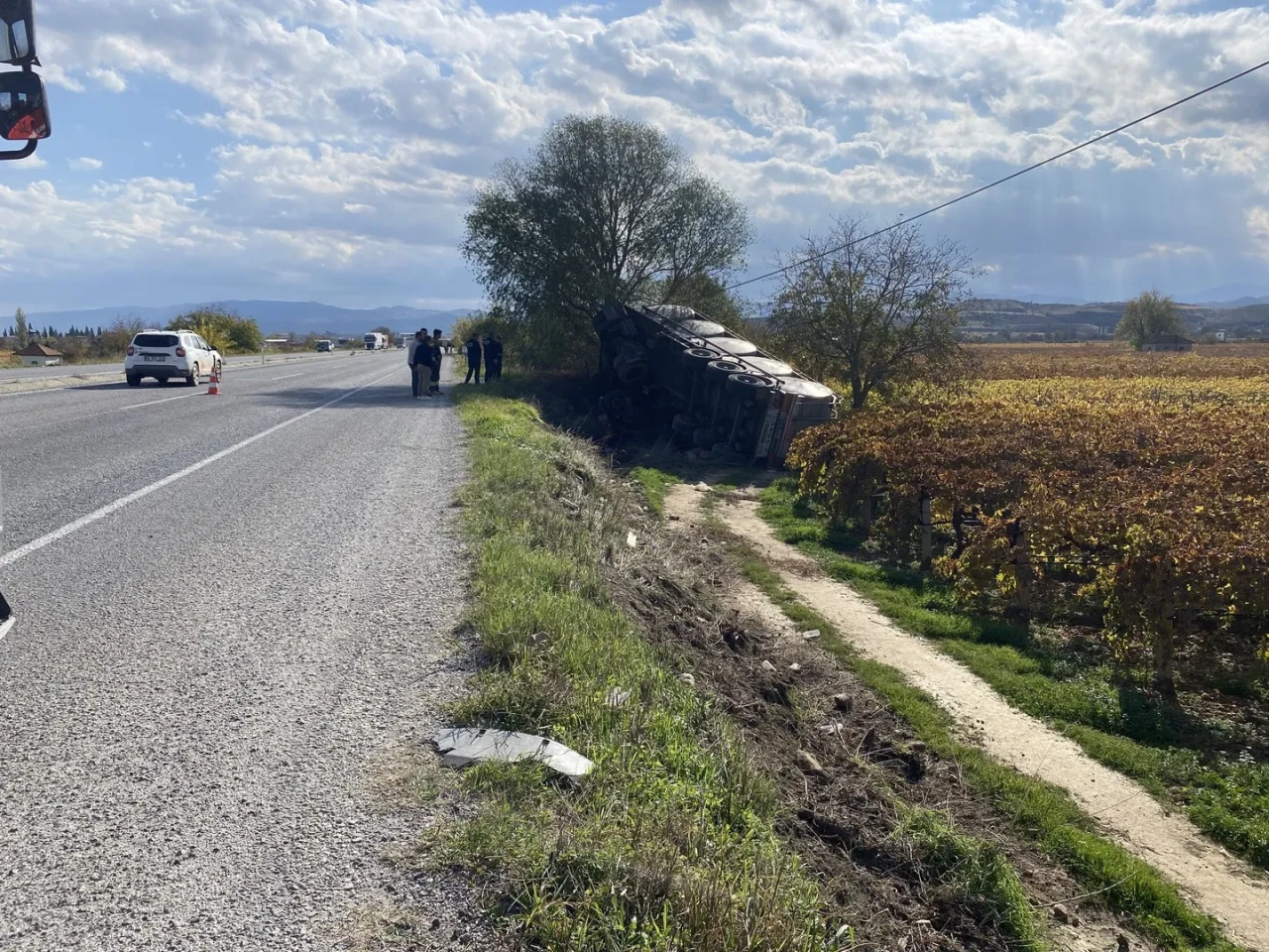 Manisa'nın Alaşehir ilçesinde süt tankeri şarampole devrilerek üzüm bağlarına uçtu