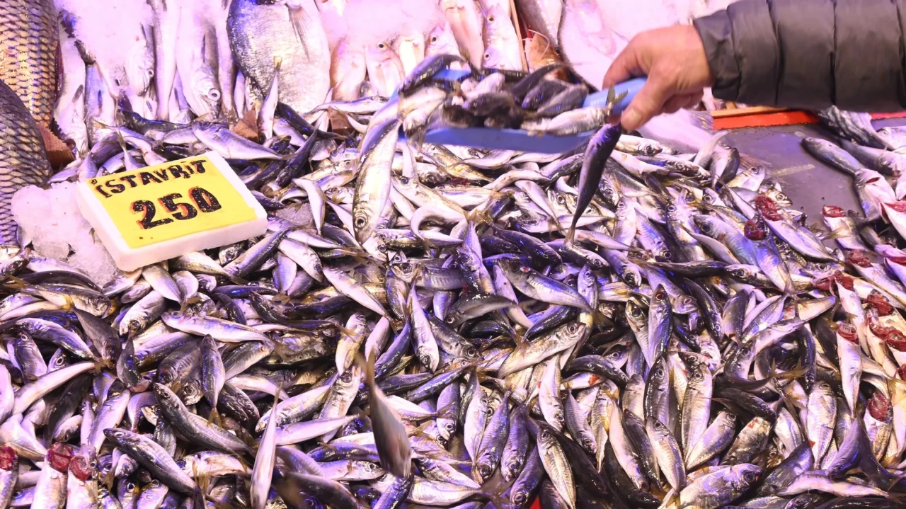 Eskişehir'de İskenderun'dan gelen yılan balığı ve 4 bin dolarlık havyar ilgi görüyor