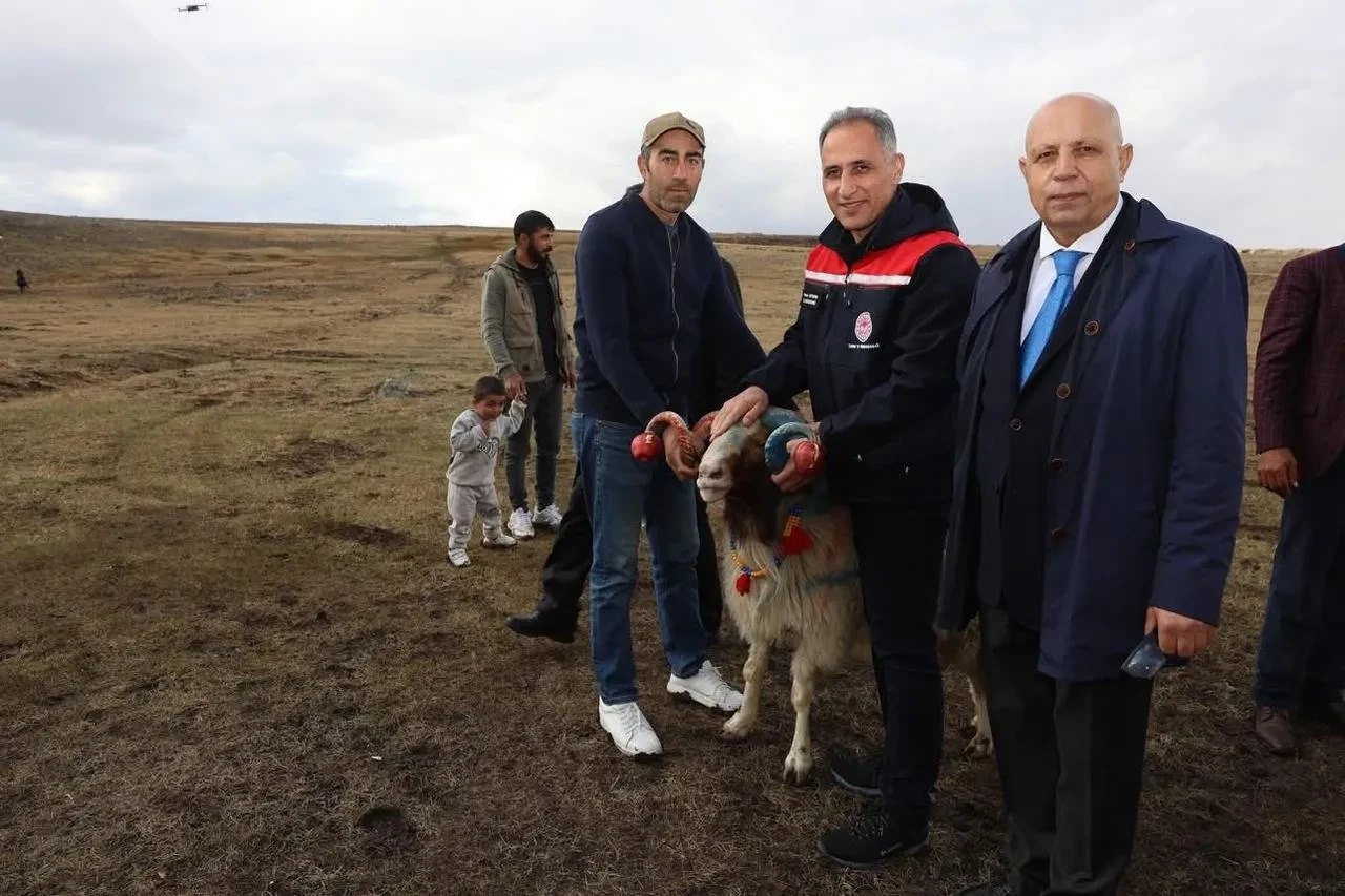 Arpaçay’da Koç Katım Töreni İl Tarım Müdürü Enver Aydın Katılımıyla Gerçekleşti