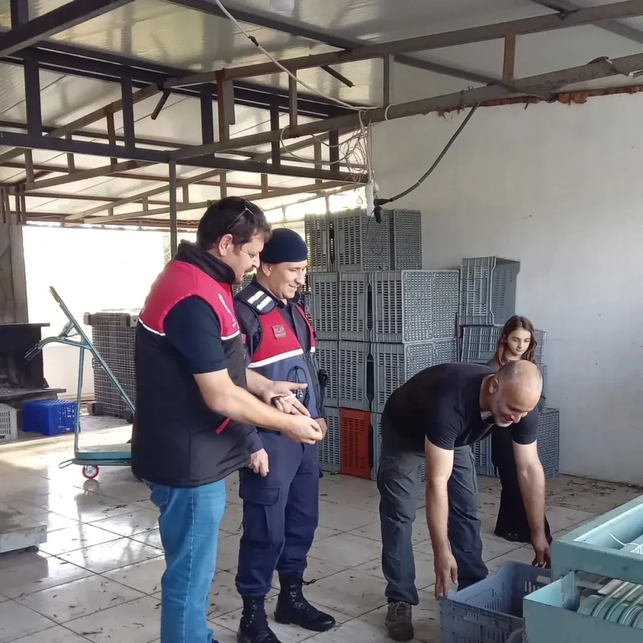 Edremit'te zeytin hırsızlığını önlemek için alım satım noktalarında denetim yapıldı