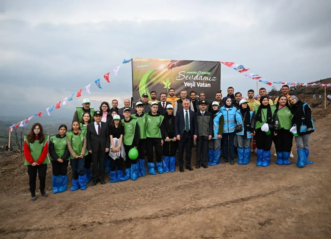 Kocaeli'nin Karamürsel ilçesinde yanan ormanlık alana 3 bin fidan dikildi