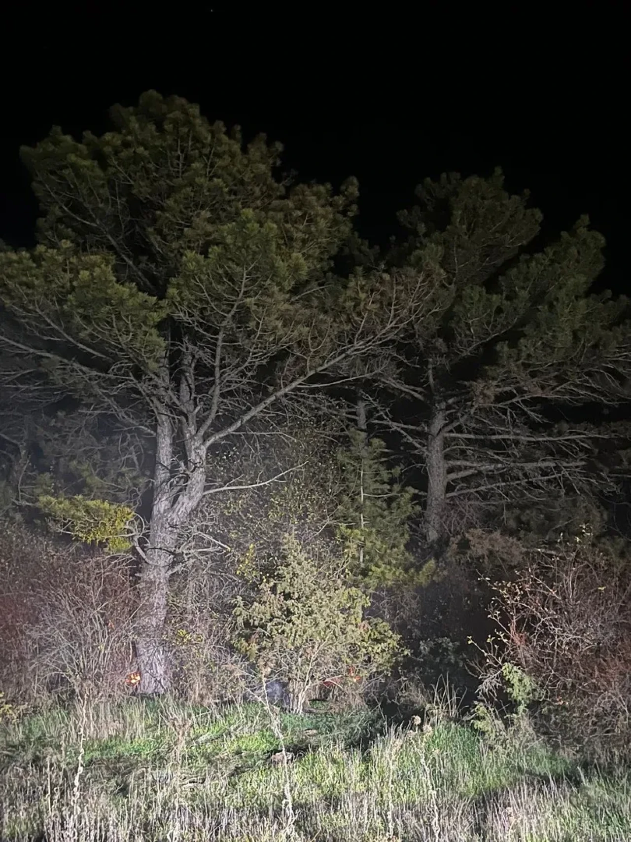 Bolu'nun Mudurnu ilçesinde ormanlık alanda çıkan yangın köylüler ve ekipler tarafından söndürüldü