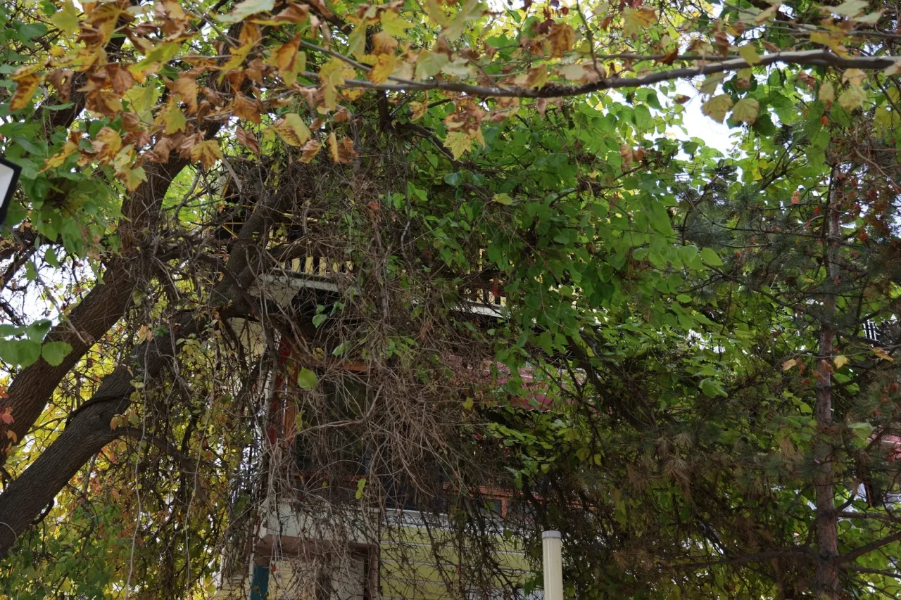 Kırşehir'de Ahi Evran Külliyesi sonbahar renkleriyle büyüleyici bir görsel şölen sunuyor