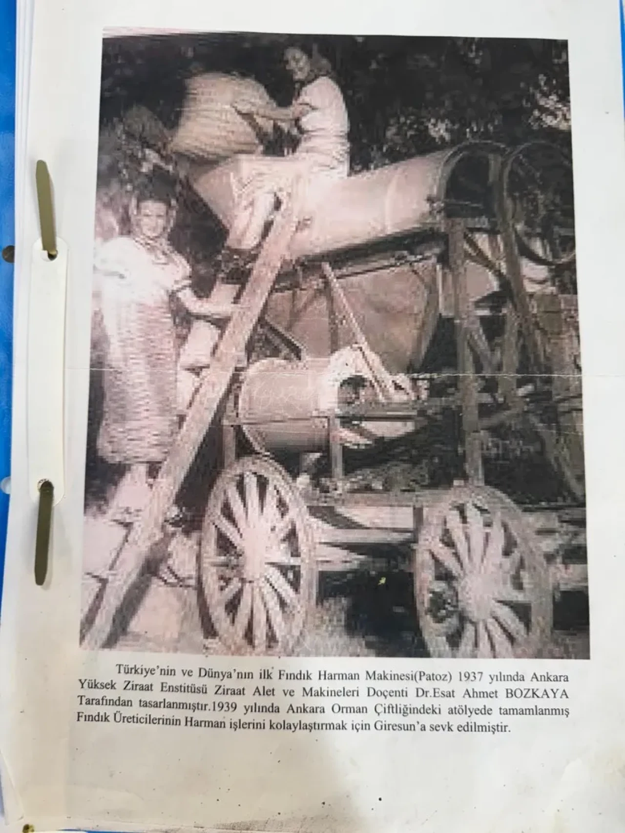 Giresun'da dünyanın ilk fındık patozu aslına uygun şekilde restore ediliyor