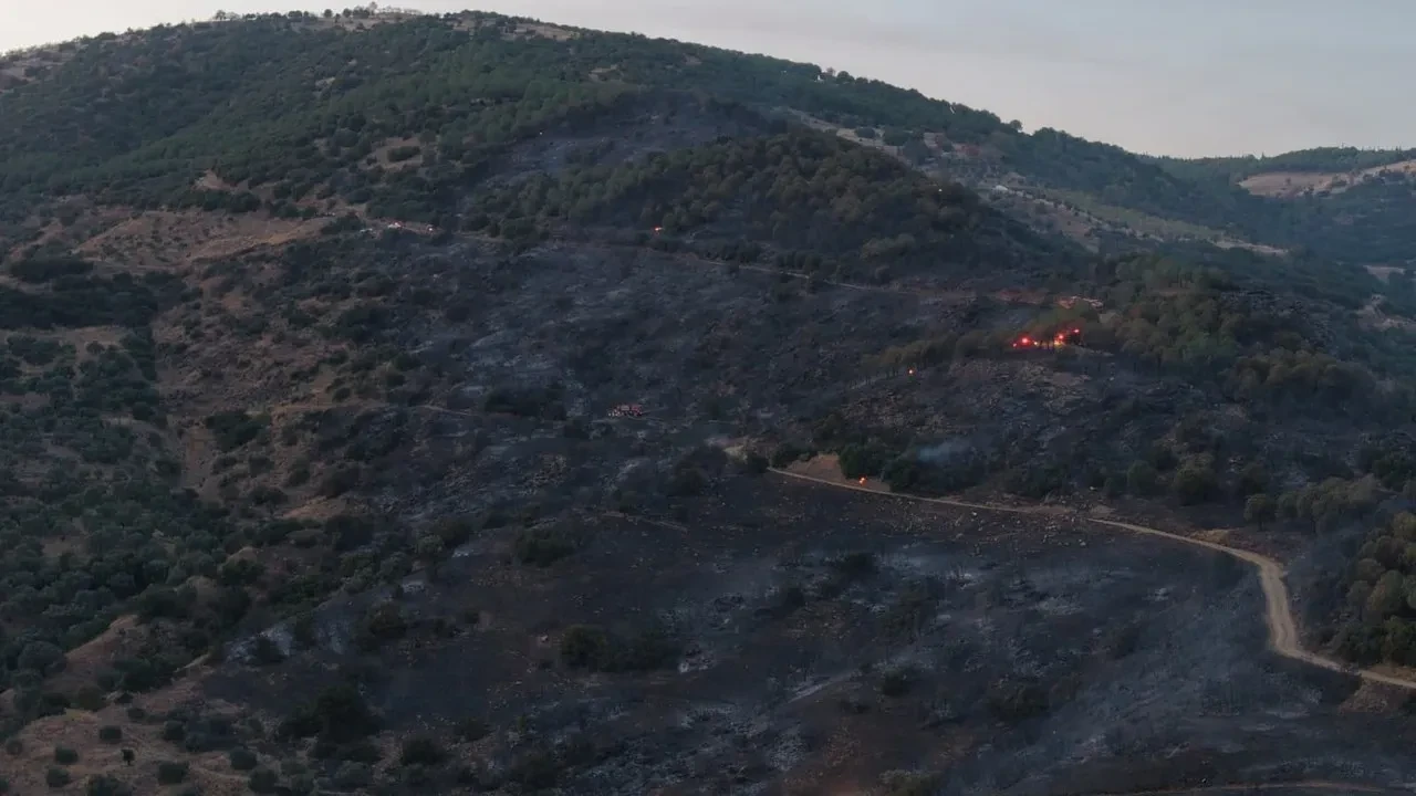 Aydın'ın Bozdoğan ilçesinde çıkan yangın büyük ölçüde kontrol altına alındı