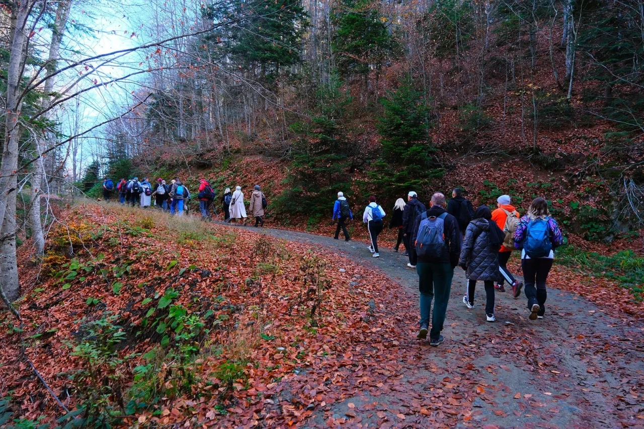 Sakarya'da sonbaharın renkleri arasında 14 kilometrelik doğa yürüyüşü yapıldı